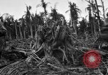 Standbild 158 Infanterie Bataillon 2 Arawe New Britain Papua-Neuguinea, 1943, aus Sekunde 38 historischem Filmmaterial Videoclip 65675071779