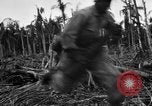 Standbild 158 Infanterie Bataillon 2 Arawe New Britain Papua-Neuguinea, 1943, aus Sekunde 39 historischem Filmmaterial Videoclip 65675071779