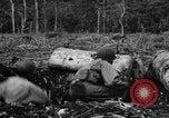 Standbild 158 Infanterie Bataillon 2 Arawe New Britain Papua-Neuguinea, 1943, aus Sekunde 43 historischem Filmmaterial Videoclip 65675071779