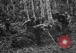 Standbild 158 Infanterie Bataillon 2 Arawe New Britain Papua-Neuguinea, 1943, aus Sekunde 14 historischem Filmmaterial Videoclip 65675071780