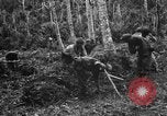 Standbild 158 Infanterie Bataillon 2 Arawe New Britain Papua-Neuguinea, 1943, aus Sekunde 15 historischem Filmmaterial Videoclip 65675071780