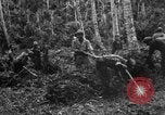 Standbild 158 Infanterie Bataillon 2 Arawe New Britain Papua-Neuguinea, 1943, aus Sekunde 17 historischem Filmmaterial Videoclip 65675071780