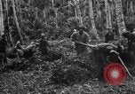 Standbild 158 Infanterie Bataillon 2 Arawe New Britain Papua-Neuguinea, 1943, aus Sekunde 18 historischem Filmmaterial Videoclip 65675071780