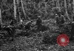Standbild 158 Infanterie Bataillon 2 Arawe New Britain Papua-Neuguinea, 1943, aus Sekunde 20 historischem Filmmaterial Videoclip 65675071780