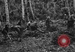 Standbild 158 Infanterie Bataillon 2 Arawe New Britain Papua-Neuguinea, 1943, aus Sekunde 21 historischem Filmmaterial Videoclip 65675071780