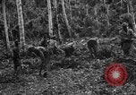 Standbild 158 Infanterie Bataillon 2 Arawe New Britain Papua-Neuguinea, 1943, aus Sekunde 22 historischem Filmmaterial Videoclip 65675071780
