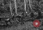 Standbild 158 Infanterie Bataillon 2 Arawe New Britain Papua-Neuguinea, 1943, aus Sekunde 24 historischem Filmmaterial Videoclip 65675071780