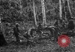 Standbild 158 Infanterie Bataillon 2 Arawe New Britain Papua-Neuguinea, 1943, aus Sekunde 26 historischem Filmmaterial Videoclip 65675071780