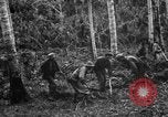 Standbild 158 Infanterie Bataillon 2 Arawe New Britain Papua-Neuguinea, 1943, aus Sekunde 27 historischem Filmmaterial Videoclip 65675071780
