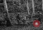 Standbild 158 Infanterie Bataillon 2 Arawe New Britain Papua-Neuguinea, 1943, aus Sekunde 28 historischem Filmmaterial Videoclip 65675071780