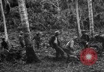 Standbild 158 Infanterie Bataillon 2 Arawe New Britain Papua-Neuguinea, 1943, aus Sekunde 29 historischem Filmmaterial Videoclip 65675071780