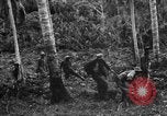Standbild 158 Infanterie Bataillon 2 Arawe New Britain Papua-Neuguinea, 1943, aus Sekunde 31 historischem Filmmaterial Videoclip 65675071780