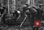 Standbild 158 Infanterie Bataillon 2 Arawe New Britain Papua-Neuguinea, 1943, aus Sekunde 32 historischem Filmmaterial Videoclip 65675071780