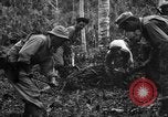 Standbild 158 Infanterie Bataillon 2 Arawe New Britain Papua-Neuguinea, 1943, aus Sekunde 36 historischem Filmmaterial Videoclip 65675071780