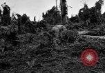 Standbild 158 Infanterie Bataillon 2 Arawe New Britain Papua-Neuguinea, 1943, aus Sekunde 48 historischem Filmmaterial Videoclip 65675071780