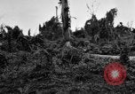 Standbild 158 Infanterie Bataillon 2 Arawe New Britain Papua-Neuguinea, 1943, aus Sekunde 52 historischem Filmmaterial Videoclip 65675071780