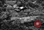 Standbild 158 Infanterie Bataillon 2 Arawe New Britain Papua-Neuguinea, 1943, aus Sekunde 56 historischem Filmmaterial Videoclip 65675071780