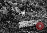Standbild 158 Infanterie Bataillon 2 Arawe New Britain Papua-Neuguinea, 1943, aus Sekunde 57 historischem Filmmaterial Videoclip 65675071780