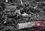 Standbild 158 Infanterie Bataillon 2 Arawe New Britain Papua-Neuguinea, 1943, aus Sekunde 59 historischem Filmmaterial Videoclip 65675071780