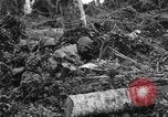 Standbild 158 Infanterie Bataillon 2 Arawe New Britain Papua-Neuguinea, 1943, aus Sekunde 62 historischem Filmmaterial Videoclip 65675071780