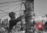 Standbild Kommunikation Peleliu Palau Inseln, 1945, aus Sekunde 23 historischem Filmmaterial Videoclip 65675071784