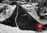 Standbild Kommunikation Peleliu Palau Inseln, 1945, aus Sekunde 61 historischem Filmmaterial Videoclip 65675071784