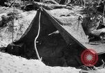 Standbild Kommunikation Peleliu Palau Inseln, 1945, aus Sekunde 62 historischem Filmmaterial Videoclip 65675071784