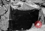 Standbild Kommunikation Peleliu Palau Inseln, 1945, aus Sekunde 7 historischem Filmmaterial Videoclip 65675071785