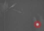 Image des activités de communication Peleliu îles Palau, 1945, de la seconde 8 séquences d'archives historiques vidéo 65675071786