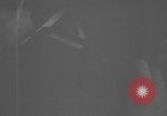 Image des activités de communication Peleliu îles Palau, 1945, de la seconde 9 séquences d'archives historiques vidéo 65675071786