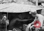 Standbild Kommunikation Peleliu Palau Inseln, 1945, aus Sekunde 41 historischem Filmmaterial Videoclip 65675071790