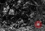 Standbild Kommunikation Peleliu Palau Inseln, 1945, aus Sekunde 3 historischem Filmmaterial Videoclip 65675071792