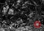 Standbild Kommunikation Peleliu Palau Inseln, 1945, aus Sekunde 4 historischem Filmmaterial Videoclip 65675071792