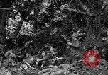 Standbild Kommunikation Peleliu Palau Inseln, 1945, aus Sekunde 5 historischem Filmmaterial Videoclip 65675071792