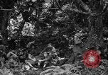 Standbild Kommunikation Peleliu Palau Inseln, 1945, aus Sekunde 12 historischem Filmmaterial Videoclip 65675071792