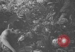 Standbild Kommunikation Peleliu Palau Inseln, 1945, aus Sekunde 37 historischem Filmmaterial Videoclip 65675071792