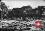 Image of Bonus Army Washington DC USA, 1936, second 30 stock footage video 65675071796