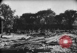 Image of Bonus Army Washington DC USA, 1936, second 31 stock footage video 65675071796