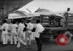 Immagine di Corpo di pace Il Ghana, 1961, secondo 46 filmato di repertorio 65675071806