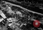 Standbild Transfer von Verwundeten Pazifik, 1944, aus Sekunde 13 historischem Filmmaterial Videoclip 65675071811