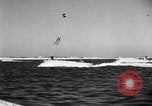 Image of Andrew H Higgins New Orleans Louisiana USA, 1944, second 26 stock footage video 65675071818