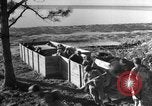 Image of Amphibious assault training United States USA, 1942, second 11 stock footage video 65675071823