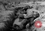 Image of Amphibious assault training United States USA, 1942, second 21 stock footage video 65675071823