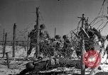 Image of Amphibious assault training United States USA, 1942, second 31 stock footage video 65675071823