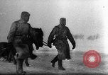 Image Les Conférences du Caire et de Téhéran théâtre européen, 1944, de la seconde 22 séquences d'archives historiques vidéo 65675071829