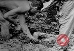 Image Une fumée noire et dense de feu faisant rage Théâtre du pacifique, 1944, de la seconde 17 séquences d'archives historiques vidéo 65675071830