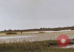 Image of United States 9th Infantry Division South Vietnam, 1967, second 21 stock footage video 65675071836