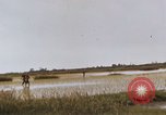 Image of United States 9th Infantry Division South Vietnam, 1967, second 25 stock footage video 65675071836