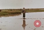 Image of United States 9th Infantry Division South Vietnam, 1967, second 31 stock footage video 65675071836