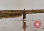 Image of United States 9th Infantry Division South Vietnam, 1967, second 32 stock footage video 65675071836